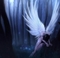 Elfangels