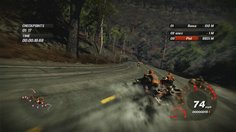 Fuel
