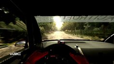 WRC_Vue cockpit