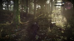 The Witcher 3: Wild Hunt_Démo E3