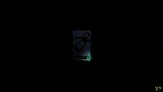 Dark Sector