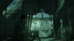 Dark Sector