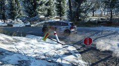 WRC 5_Replay (WRC) & Cockpit Cam (WRC)
