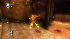 Ninja Gaiden Sigma