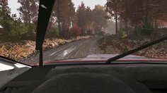 DiRT 4_Lessons #2 (PS4)
