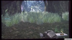Turok