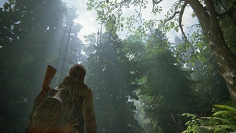 The Last of Us Part II_La forêt - Motion Blur OFF (PS4 Pro/4K)