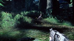 Turok