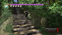 Ninja Gaiden 2_Encore plus de gameplay