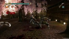 Ninja Gaiden 2_Gameplay (Janvier)