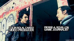 Dark Sector