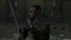 Elveon