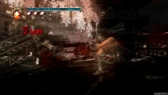 Ninja Gaiden 2