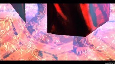 The Last Remnant