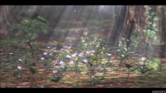 The Last Remnant