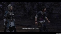 The Last Remnant
