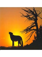 timberwolfe