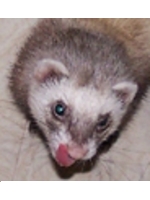 WillBeuZe