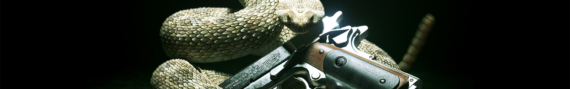 hitman absolution steam download free hitman absolution steam download free