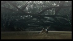Monster Hunter 3_Trailer