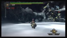 Monster Hunter 3_Collect and Kill