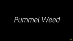 Kameo: Elements of Power_Pummel Weed