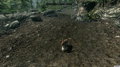 The Elder Scrolls V: Skyrim_Stroll (PC)