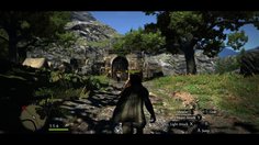 Dragon's Dogma_Escorte