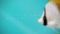 Aquazone_Japanese trailer