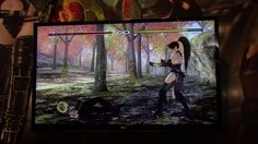 Dead or Alive 5 Ultimate_E3: Gameplay showfloor