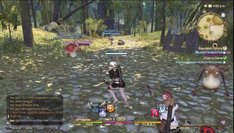 Final Fantasy XIV: A Realm Reborn_1ers combats