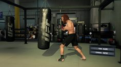 EA Sports UFC_Début de carrière