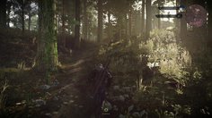 The Witcher 3: Wild Hunt_E3 demo