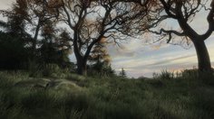 The Vanishing of Ethan Carter_Balade en forêt