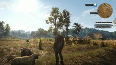 The Witcher 3: Wild Hunt_FR Replay