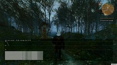 The Witcher 3: Wild Hunt_Swamps - 1.03