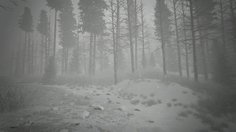 Kholat_Out in the woods