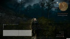 The Witcher 3: Wild Hunt_Stress Test 1.08
