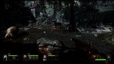 Warhammer: End Times - Vermintide_Witch Hunter Action Reel