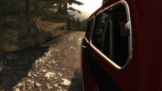 DiRT Rally_PS4 - Daytime Replay