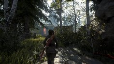 Rise of the Tomb Raider: 20 Year Celebration_PS4 Pro Enriched Visuals