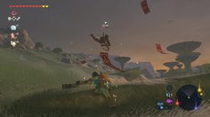 The Legend of Zelda: Breath Of The Wild_Switch - Combats