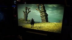 Shadow of the Colossus_Gameplay offscreen (Pas de son)