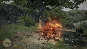 Dragon's Dogma: Dark Arisen_Gameplay Switch #3