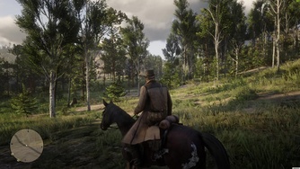 Red Dead Redemption 2_4K natif - Preset équilibré (PC)