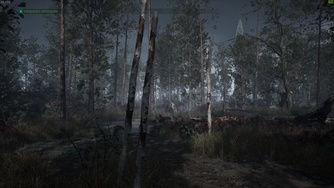 Chernobylite_Landscapes (PC/ultra/1440p)