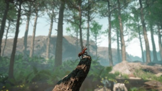 Les Fourmis_Trailer (FR)