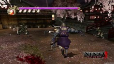 Ninja Gaiden 2_December 21 video