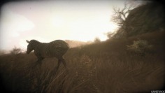 Far Cry 2_Teaser