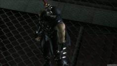 Ninja Gaiden 2_Zedonius